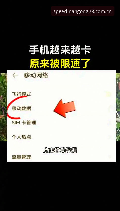 安卓客户端南宫28CN版使用技巧，为什么你的加载速度总比别人慢半拍？